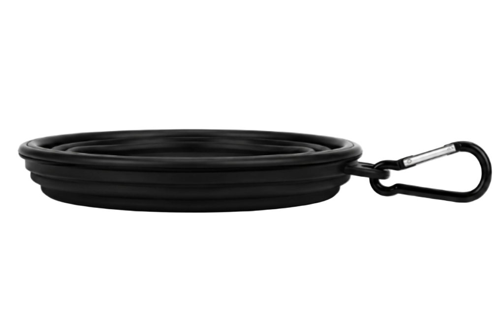 Collapsible Pet Bowl with Carabiner